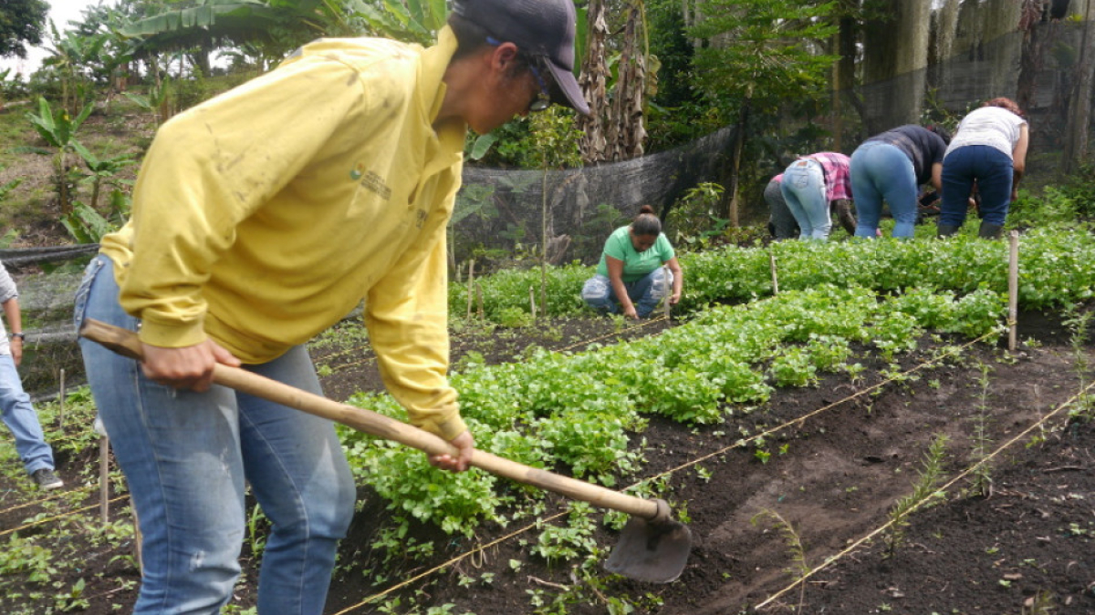 El programa espera beneficiar a unas 600 personas de 12 municipios.