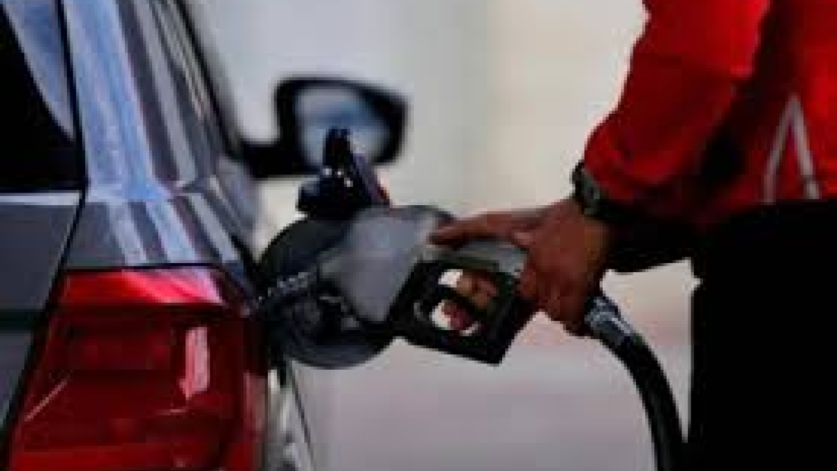 gasolina
