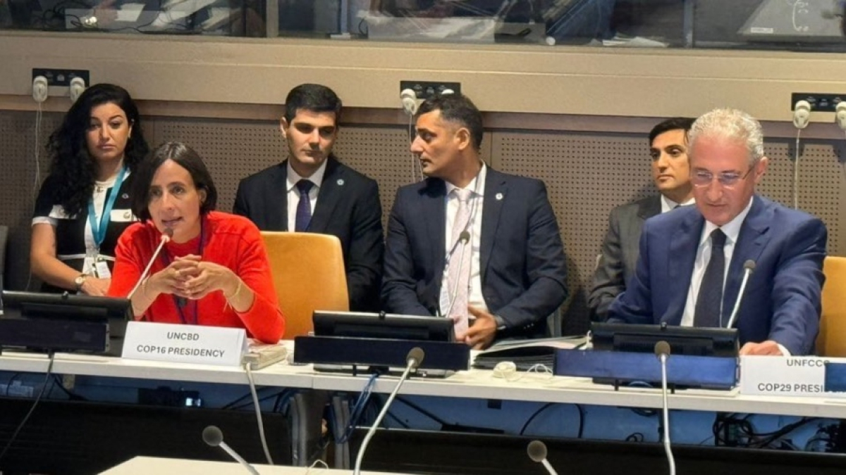  La ministra de Ambiente y Desarrollo Sostenible, Susana Muhamad en la Asamblea General de la ONU.