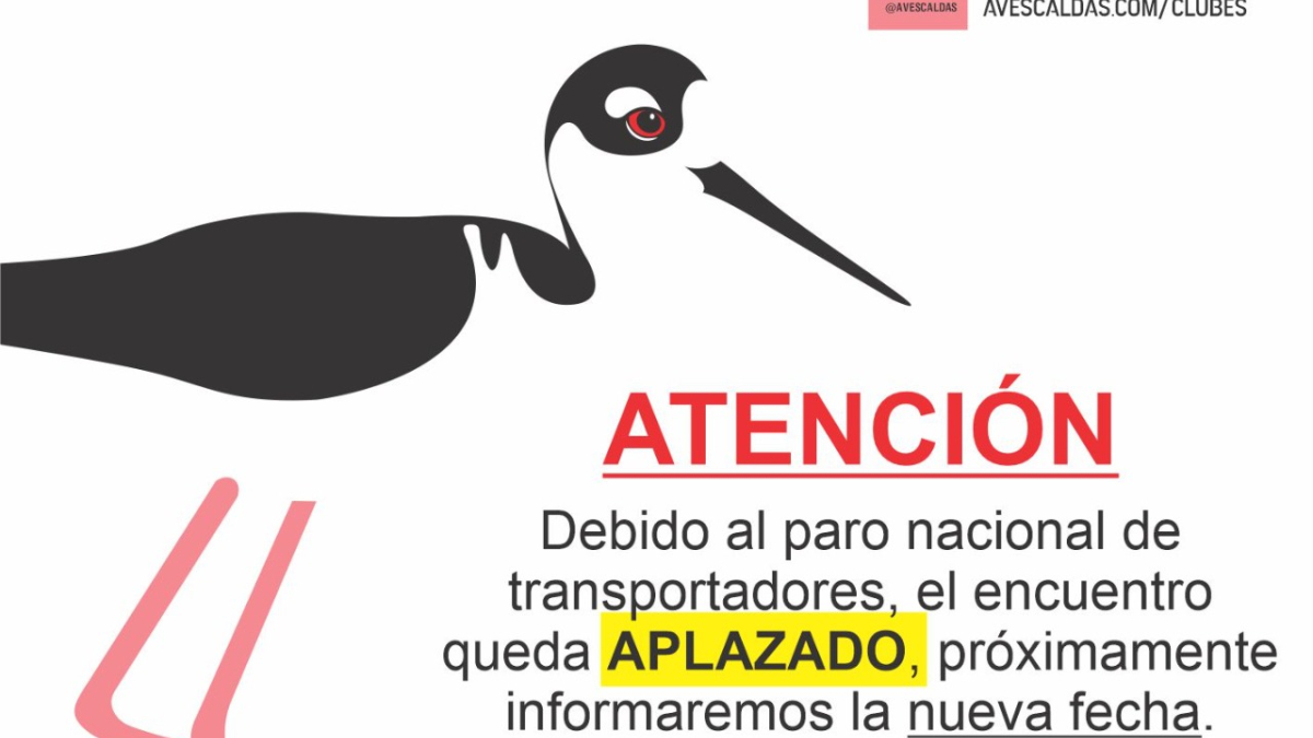 Cotelco Caldas informó que el encuentro que se iba a realizar de jueves a sábado en Palestina se aplaza.