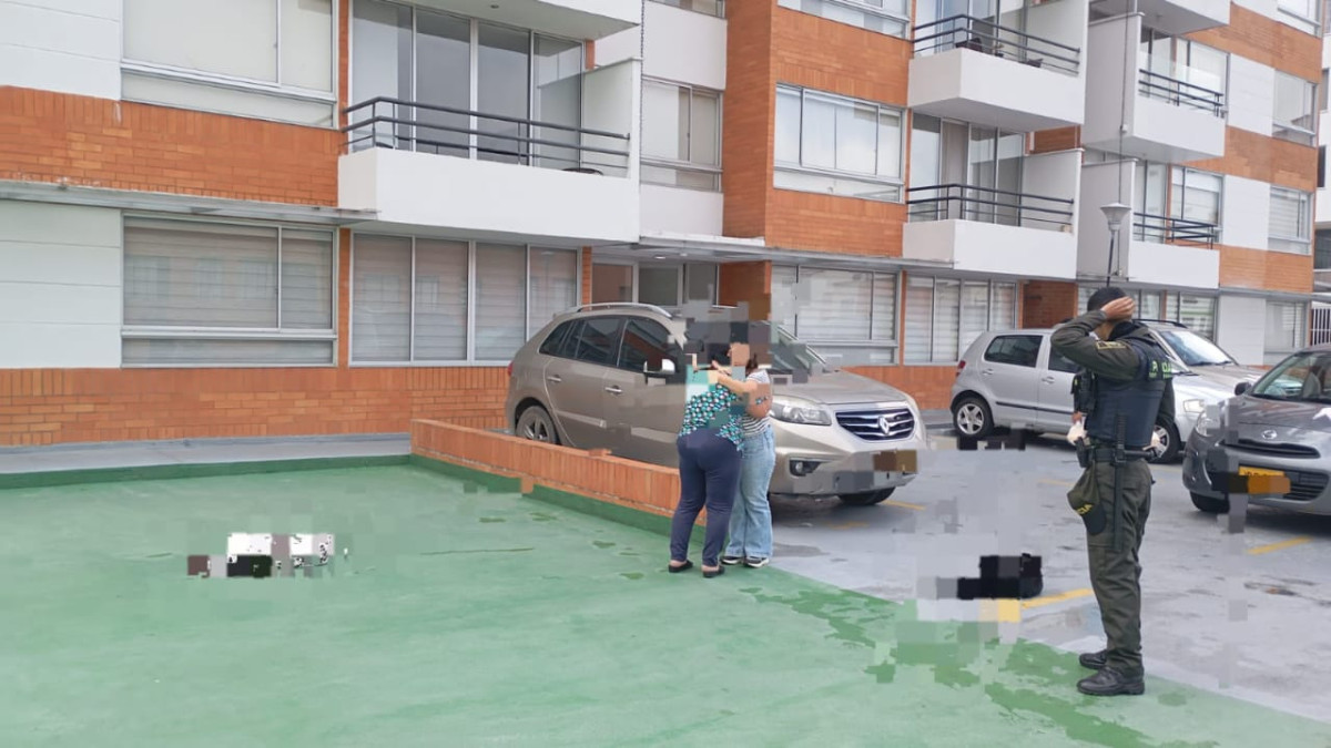 Los dos perros fallecieron por el impacto, tras ser lanzados por su dueño desde un noveno piso.