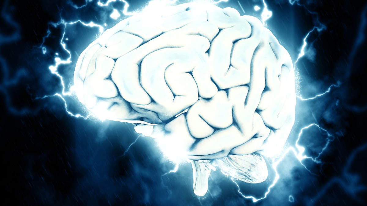 Cerebro