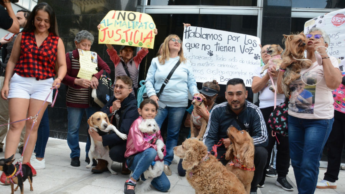 protesta contra el maltrato animal