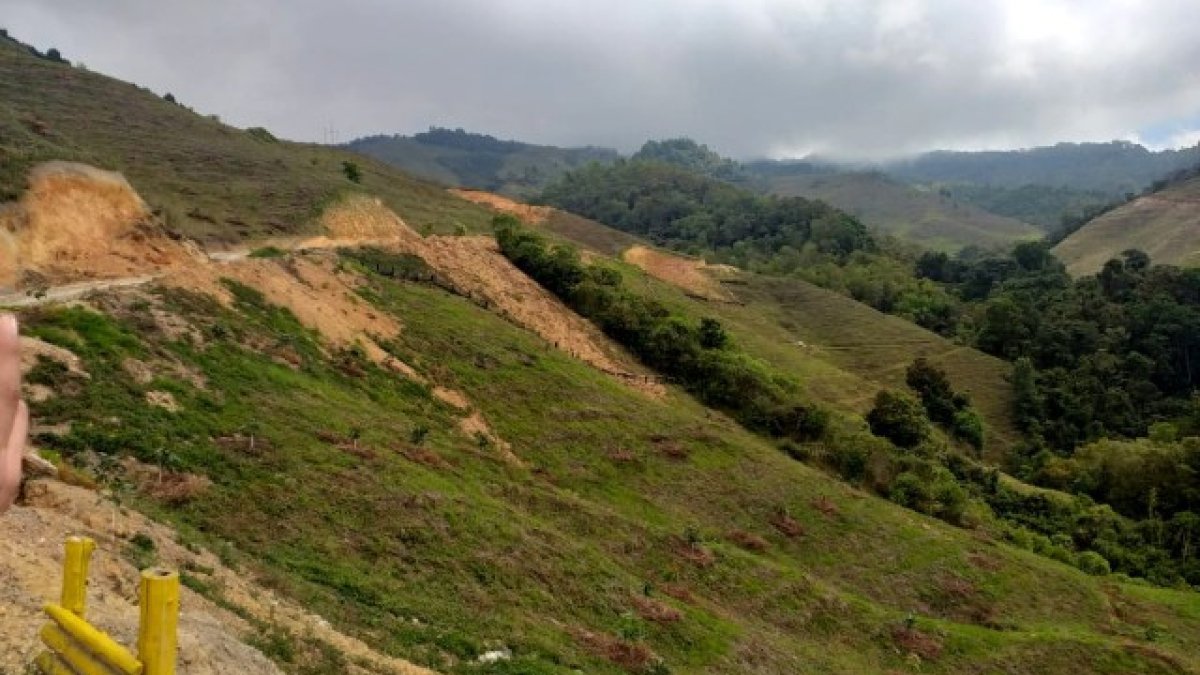 Carreteras como estas en predios aguacateros de Salamina (Caldas) generan derrumbes que enlodan las quebradas. La Red de Veedurías Ambientales de Caldas se reunió el pasado viernes en Salamina para hablar de los retos ecológicos del cultivo de aguacate Hass. Hay preocupación por la contaminación del agua y eventuales sequías.