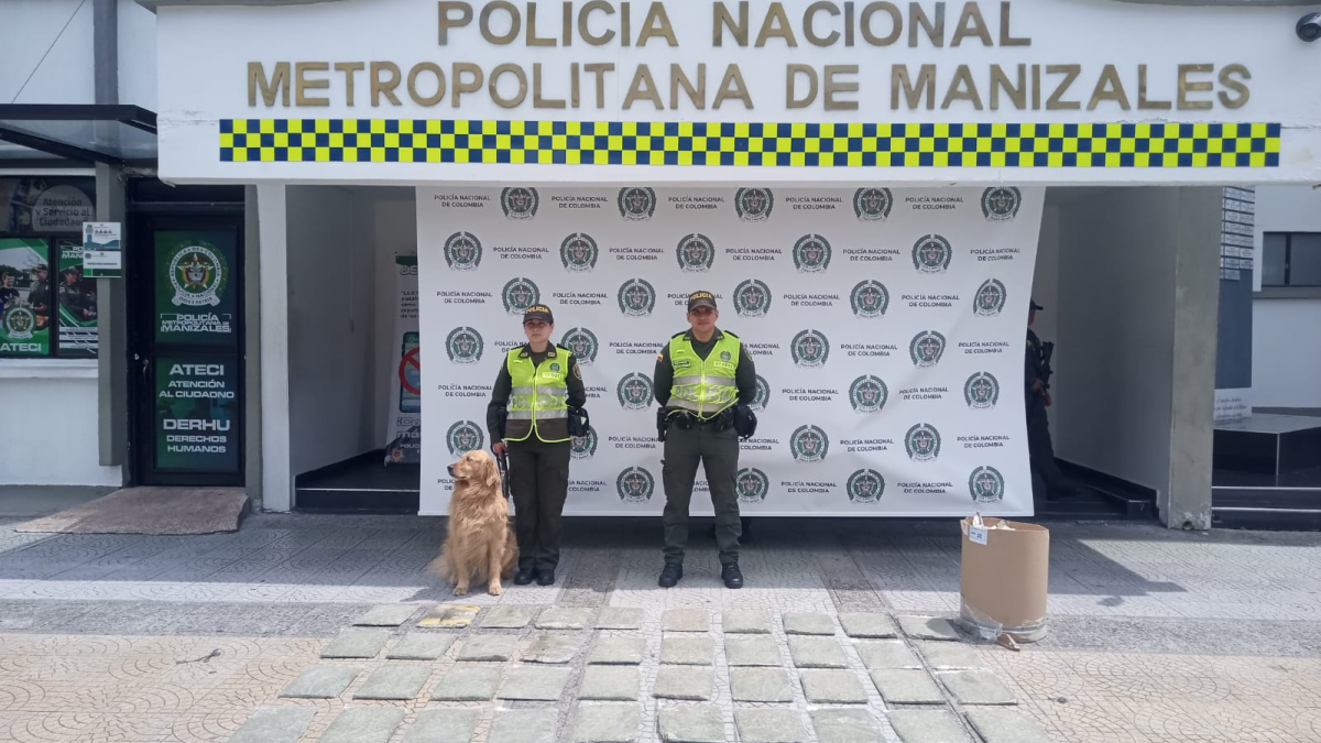 La perra detectó la caneca con marihuana en la Terminal de Transportes de Manizales.
