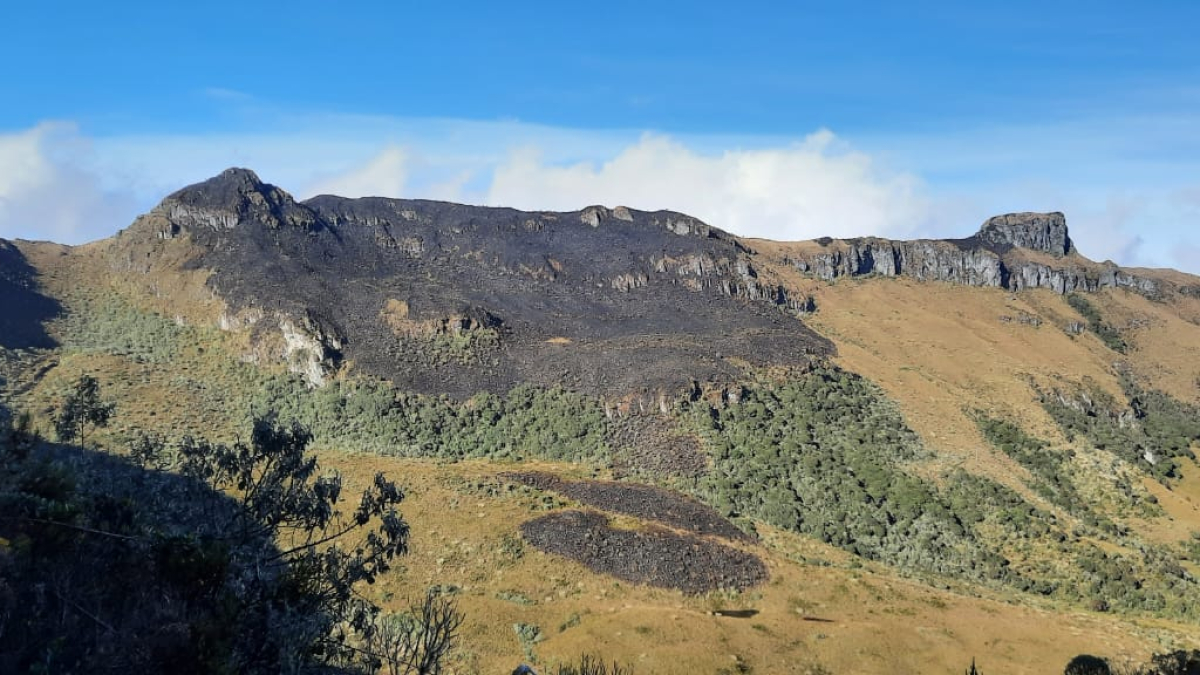 Una línea de energía reventada ocasionó el incendio que consumió varias hectáreas en zona de influencia del PNN Los Nevados.