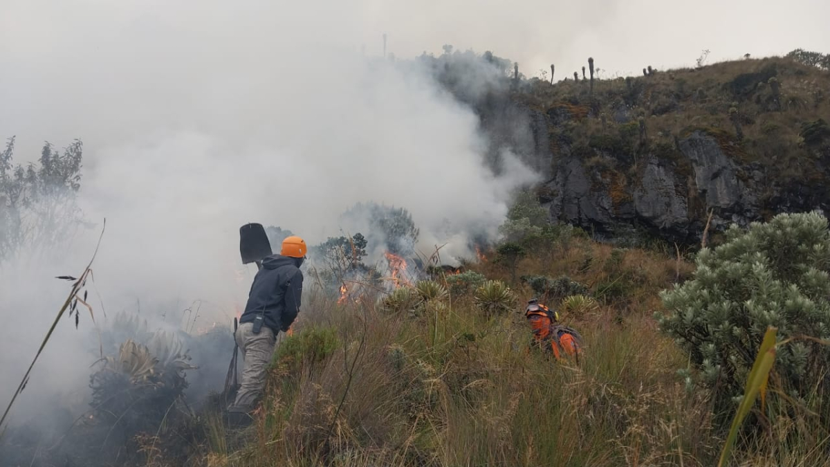 Organismos de socorro de Manizales y Villamaría (Caldas) trabajan para extinguir el incendio forestal en el PNN Los Nevados, que ya ha sido controlado en un 70%.