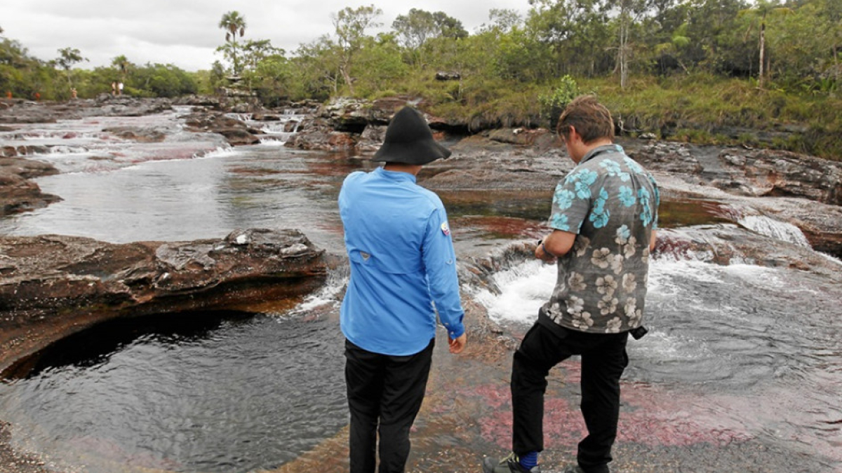 En poco más de una década, 461 defensores han sido asesinados en Colombia, país que tiene ahora el mayor número de asesinatos documentados entre 2012 y 2023, según Global Witness.