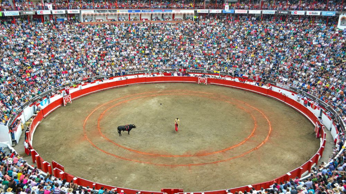 La Alcaldía de Manizales confirmó la presencia de cuatro reconocidos toreros para la 70.ª Temporada Taurina. Conozca quiénes son.