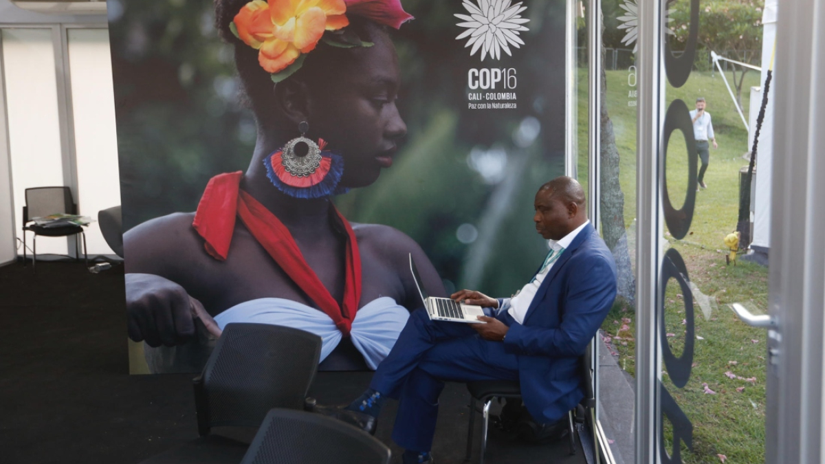 Las negociaciones en el marco de la COP16 en Cali avanzan lentas pero fluyen, según expertos, mientras organizaciones y técnicos piden más compromiso a los países para asegurar un resultado positivo al terminar la cumbre. 