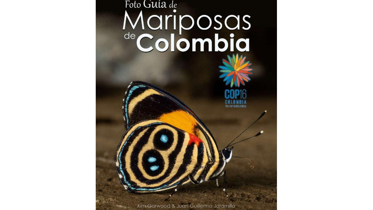 Guía de mariposas de Colombia.
