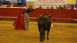 El festival taurino y su historia en Manizales