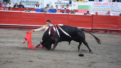 Dos orejas a medio cocer y poco más en la cuarta corrida de abono de la Temporada Taurina