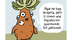 Resumen de la semana por Hómez