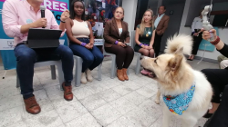 Mujeres dirigirán tres secretarías y un ente descentralizado en la Alcaldía de Manizales