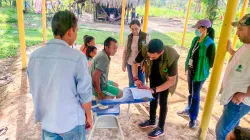 Reportan 69 violaciones a menores de dos pueblos indígenas