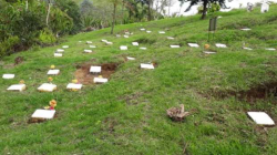 La JEP interviene cementerio de Riosucio