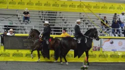 Positivo galope para la 66 Feria Equina Grado A de Manizales