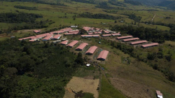Excombatientes de las Farc huyen de zona donde vivían por amenazas de disidentes