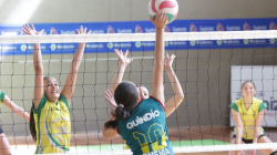 El voleibol caldense se concentra este fin de semana por los Juegos Nacionales