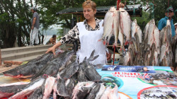 Se mueve el comercio del pescado para Semana Santa en La Dorada