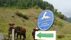 Evacuación de reses ante posible erupción, casi imposible: Comité de Ganaderos de Caldas