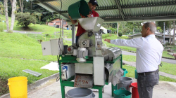 Cenicafé logra un nuevo invento: una despulpadora que separa el grano