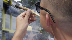 Despenalización y restricción del consumo de marihuana, sin trabas