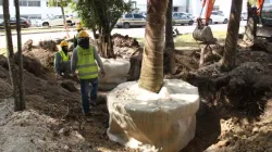 Así van las obras de la Línea 3 del Cable Aéreo en Manizales