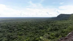 La inteligencia artificial llega a la Amazonía colombiana para monitorear su biodiversidad