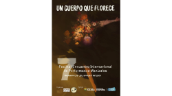 Asista al Festival de Performance durante este fin de semana en Manizales