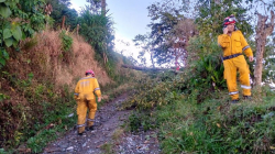 Fuertes lluvias provocaron afectaciones en Palestina, Chinchiná, Filadelfia y Neira