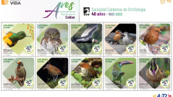 Sociedad Caldense de Ornitología celebra 40 años con serie especial de estampillas de aves