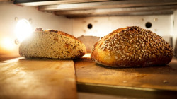 ¿Cuál es el mejor horno para panadería?
