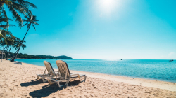 A buen puerto: recomendaciones de expertos para viajar a final de año