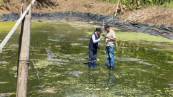 Trabajan para controlar brote de malaria en el resguardo indígena Totumal de Belalcázar