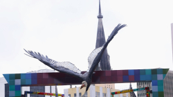 Esculturas de aves, monumentos a la biodiversidad que adornan Manizales