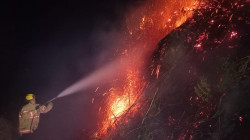 Manos criminales en incendios forestales, un rastro difícil de seguir