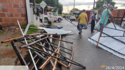 Aumentan a 23 las casas afectadas por lluvias en Norcasia: también hay árboles caídos