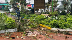 Fuertes lluvias provocaron caída de árboles y afectaron dos casas en Filadelfia (Caldas)