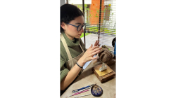 Isabela Botero y sus esculturas están hasta este jueves en Taller Abierto en Milán