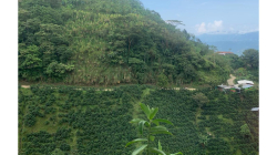 Vía Supía - Caramanta (Antioquia), con nuevo contratista: el Consorcio Corredores Viales
