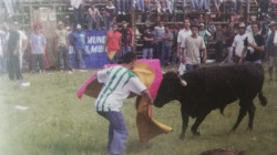 Está abierta la venta de palcos para las corralejas en Riosucio (Caldas)