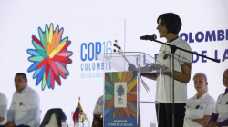 Colombia espera lanzar negociación en la COP16 para proteger corredor marino del Pacífico