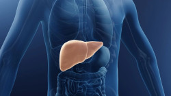 La vacuna contra la hepatitis B salva su vida, no se arriesgue a morir