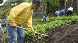 ONU firma convenio por $1.658 millones para apoyar a comunidades vulnerables de Caldas 