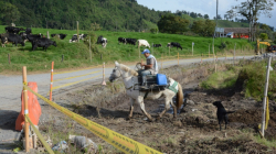 Obra Gallinazo-Arbolito ya suma 18 meses: siguen las demoras y aún faltan los 2 km de vía