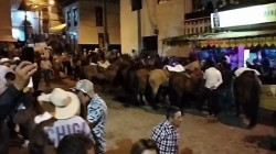 Dicen que maltrataron caballos en cabalgata, organizadores se defienden