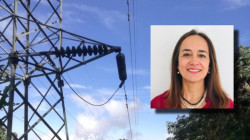 Confirmado, Martha Libia Castaño Tovar es la nueva gerente de la Chec: se aprobó en junta