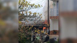 Mascotas murieron en un incendio de una vivienda en Palestina (Caldas)
